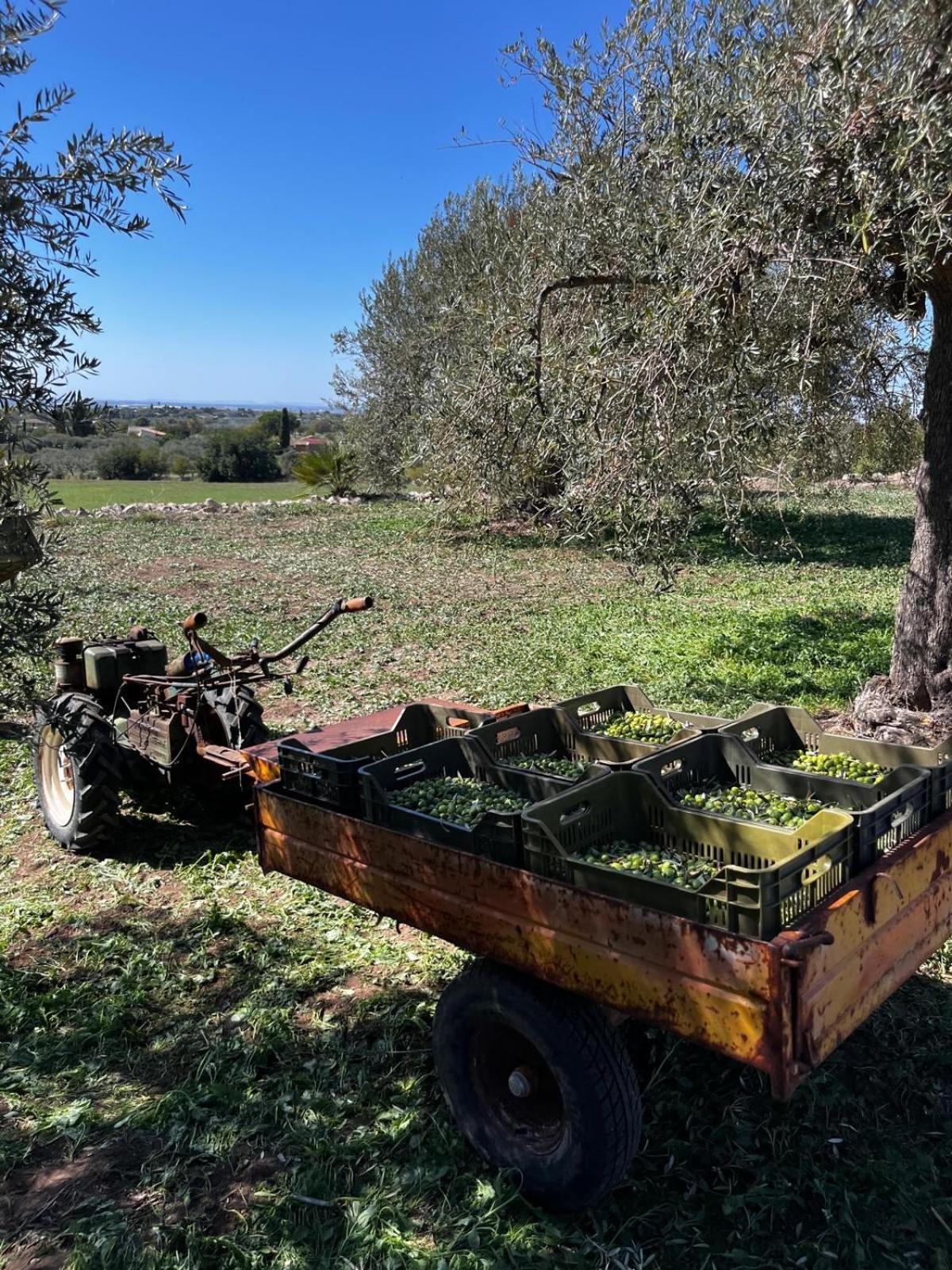 La Bella Vita Agriturismo Chiaramonte Gulfi Esterno foto